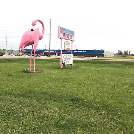 Flamingo Motel Marshalltown Esterno foto