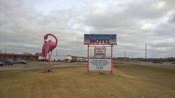 Flamingo Motel Marshalltown Esterno foto